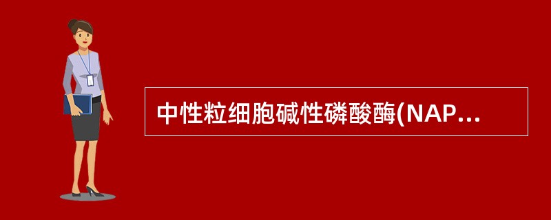 中性粒细胞碱性磷酸酶(NAP)活性减低可见于