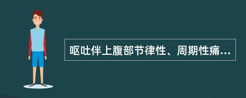 呕吐伴上腹部节律性、周期性痛可见于