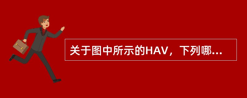关于图中所示的HAV，下列哪项说法是错误的()<img border="0" style="width: 371px; height: 278px;" s