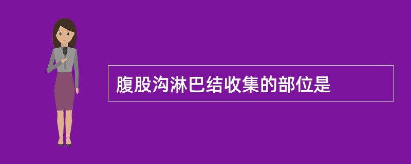 腹股沟淋巴结收集的部位是