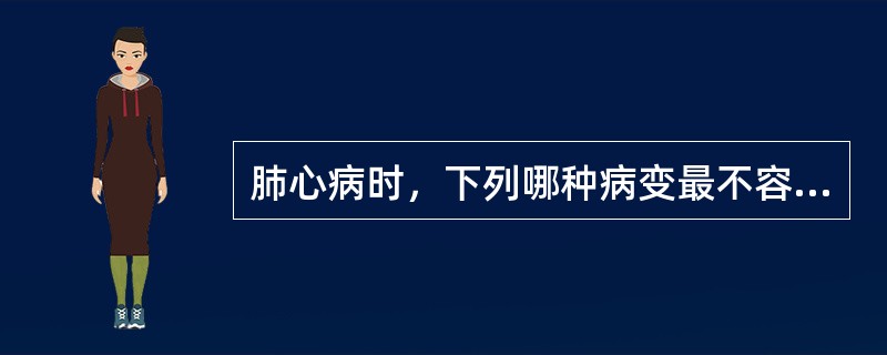 肺心病时，下列哪种病变最不容易见到()