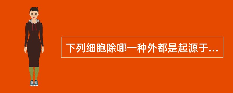 下列细胞除哪一种外都是起源于神经外胚层()