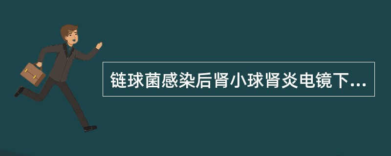 链球菌感染后肾小球肾炎电镜下沉积物多存在于()