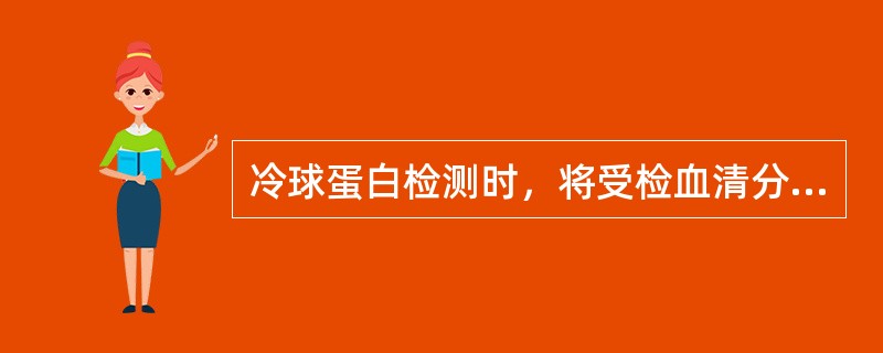 冷球蛋白检测时，将受检血清分装于两支试管，分别置于4℃冰箱和37℃孵箱，直立72小时，阳性反应的是