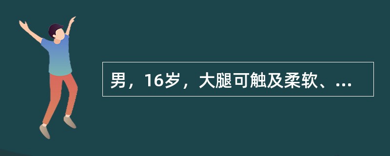 男，16岁，大腿可触及柔软、无痛性肿块，结合图像，最可能的诊断是()<img border="0" style="width: 181px; height: 136