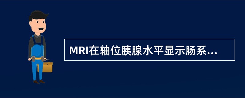 MRI在轴位胰腺水平显示肠系膜上动、静脉位于()