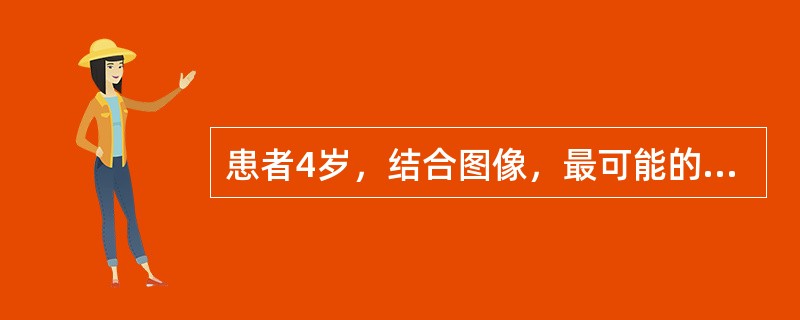 患者4岁，结合图像，最可能的诊断为()<img border="0" style="width: 209px; height: 157px;" src=&