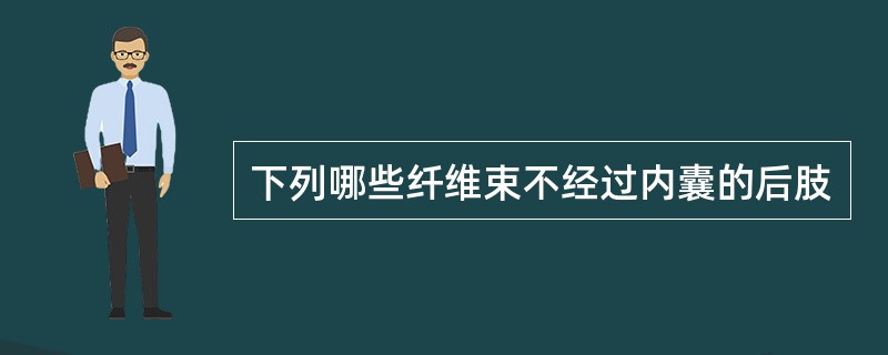 下列哪些纤维束不经过内囊的后肢