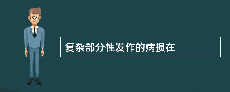 复杂部分性发作的病损在