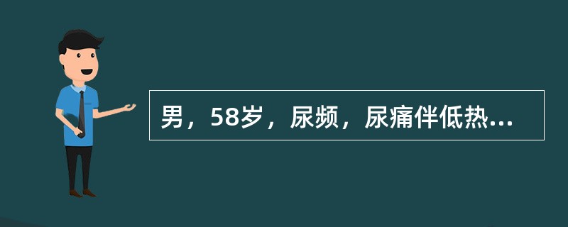 男，58岁，尿频，尿痛伴低热乏力2月，CT如图所示，下列说法正确的是()<img border="0" style="width: 181px; height: 1