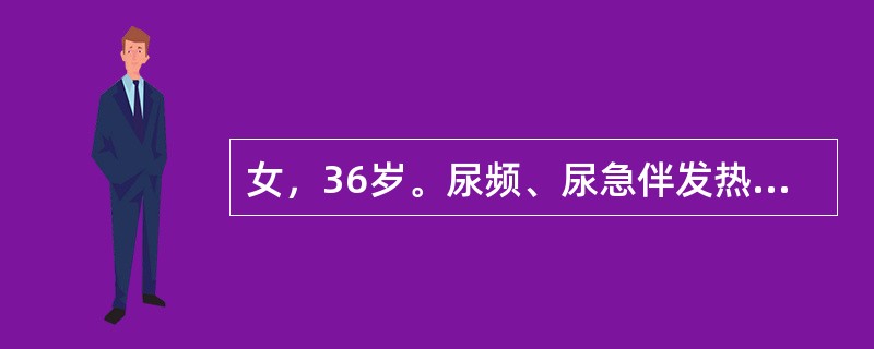 女，36岁。尿频、尿急伴发热月余。尿常规检查：镜下血尿，脓尿。CT平扫见下图。该患者最可能的诊断是<img border="0" style="width: 191