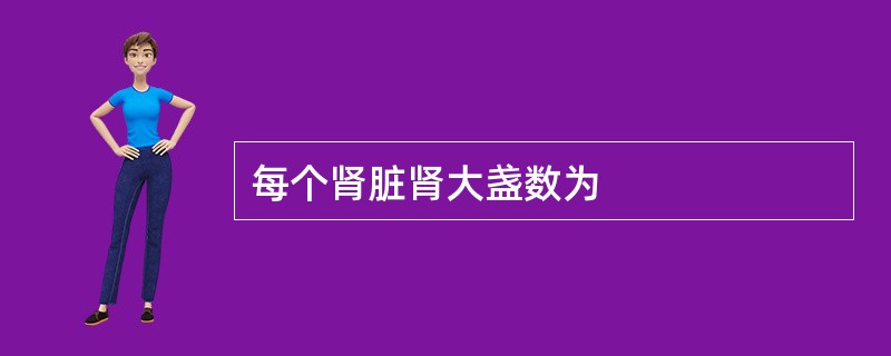 每个肾脏肾大盏数为