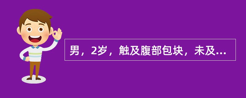 男，2岁，触及腹部包块，未及肿大淋巴结，根据所示图像，最可能的诊断是()<img border="0" style="width: 171px; height: 1