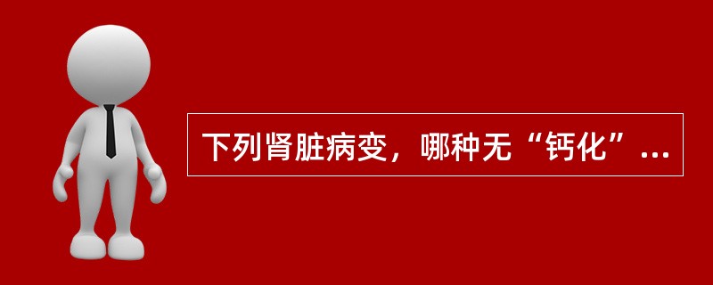 下列肾脏病变，哪种无“钙化”表现()