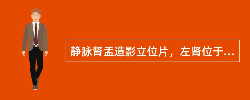 静脉肾盂造影立位片，左肾位于盆腔内，可上下移动，左侧输尿管长度与右侧相仿，应诊断为