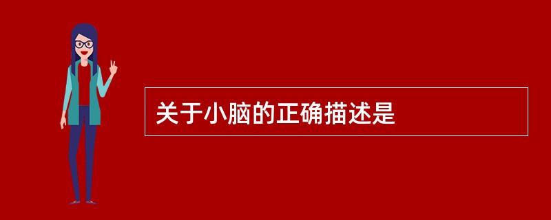 关于小脑的正确描述是