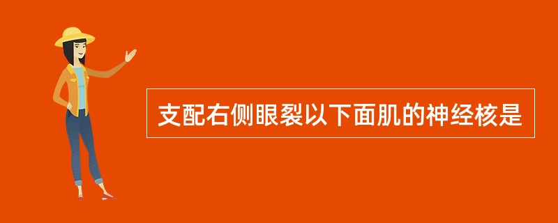 支配右侧眼裂以下面肌的神经核是