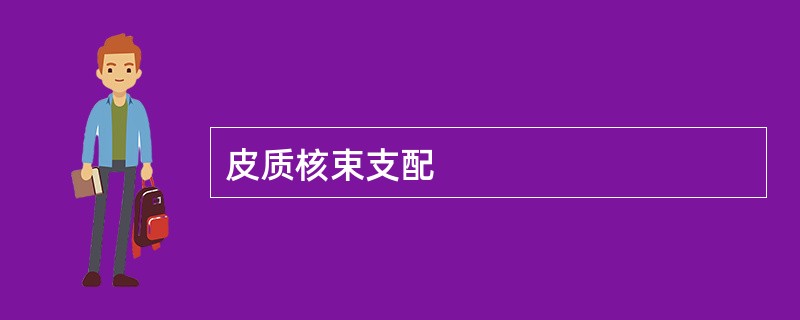 皮质核束支配