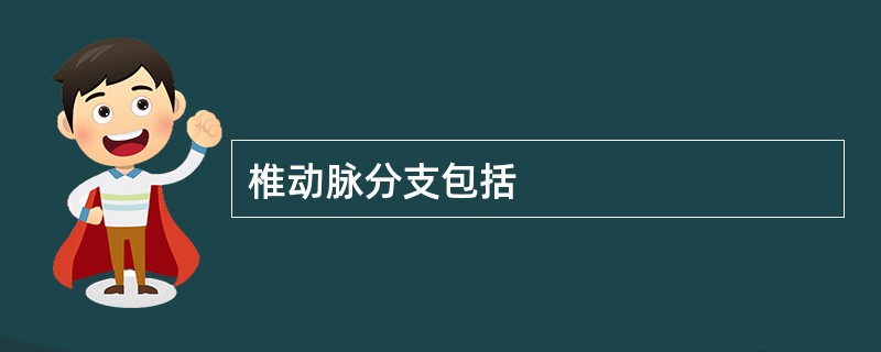 椎动脉分支包括