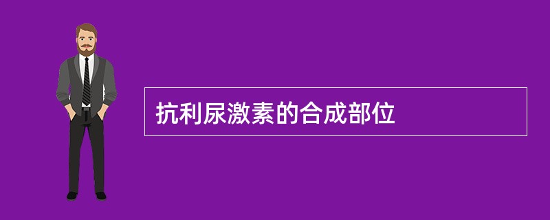 抗利尿激素的合成部位