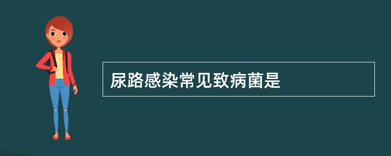 尿路感染常见致病菌是