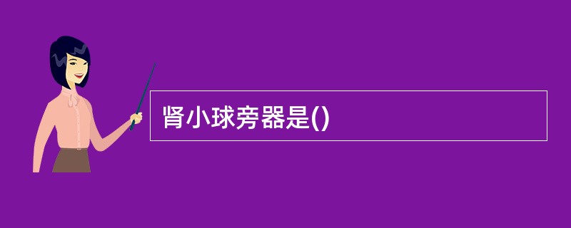 肾小球旁器是()