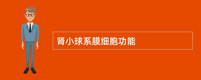 肾小球系膜细胞功能