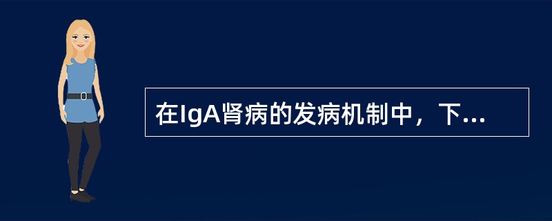 在IgA肾病的发病机制中，下列说法哪种说法是正确的