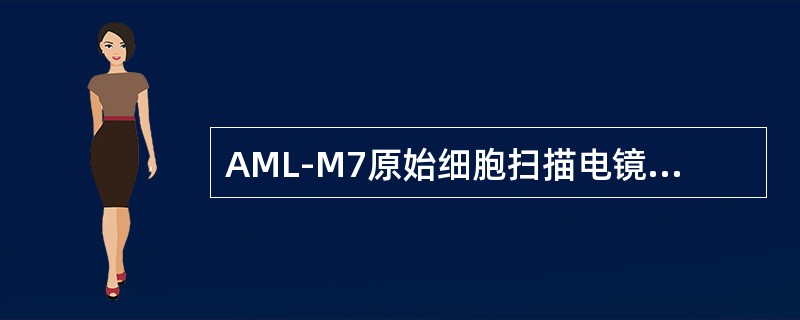 AML-M7原始细胞扫描电镜下特征为