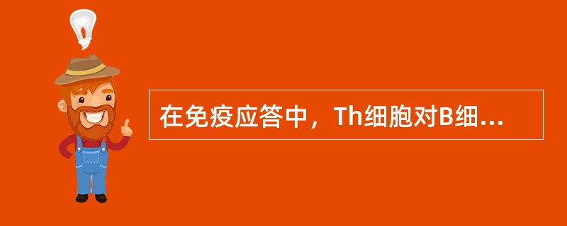 在免疫应答中，Th细胞对B细胞的辅助作用体现于