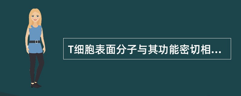 T细胞表面分子与其功能密切相关，其表面分子包括：CD2、CD3、CD4、CD5、CD7、CD8、TCR以及一些协同信号分子等T淋巴细胞上的抗原识别受体为