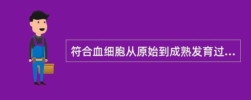 符合血细胞从原始到成熟发育过程形态演变规律的是