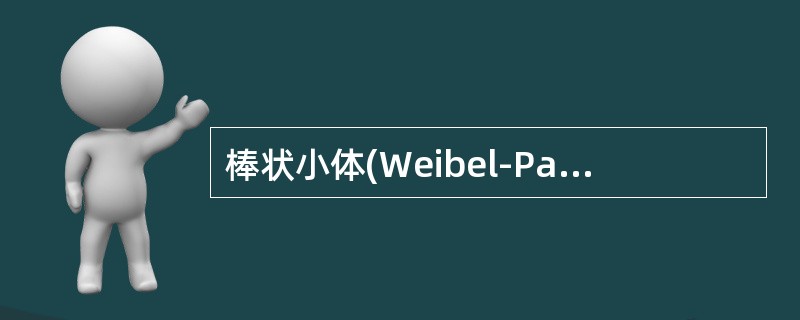 棒状小体(Weibel-Palade小体)是下列哪些物质产生的场所()