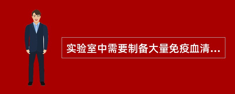 实验室中需要制备大量免疫血清时，应选用哪种动物