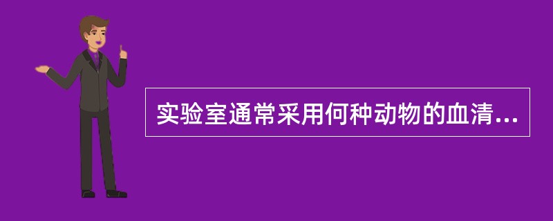 实验室通常采用何种动物的血清作为补体来源