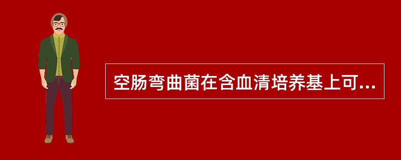 空肠弯曲菌在含血清培养基上可出现