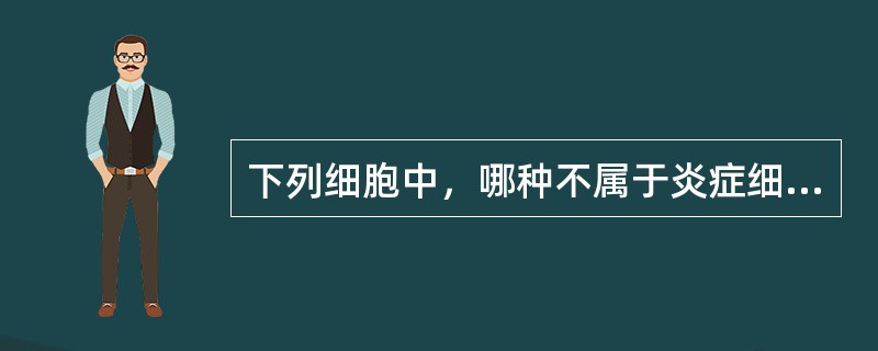 下列细胞中，哪种不属于炎症细胞()