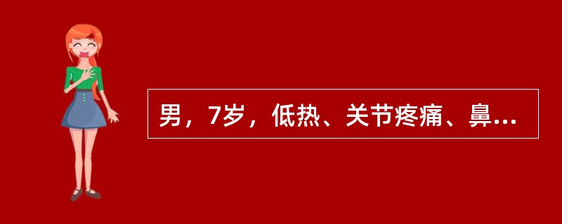 男，7岁，低热、关节疼痛、鼻出血1周。体检：颈部淋巴结肿大，肝、脾肋下0cm，胸骨压痛；血红蛋白70g／L，白细胞5×10<img border="0" style=&quo