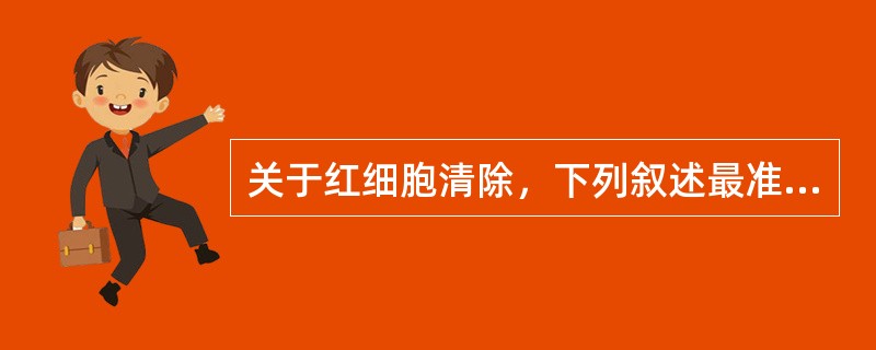 关于红细胞清除，下列叙述最准确的是