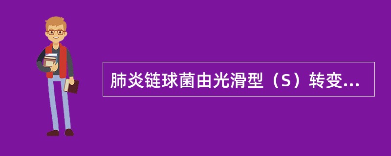 肺炎链球菌由光滑型（S）转变为粗糙型（R），主要是由于下列何种结构发生变化（）