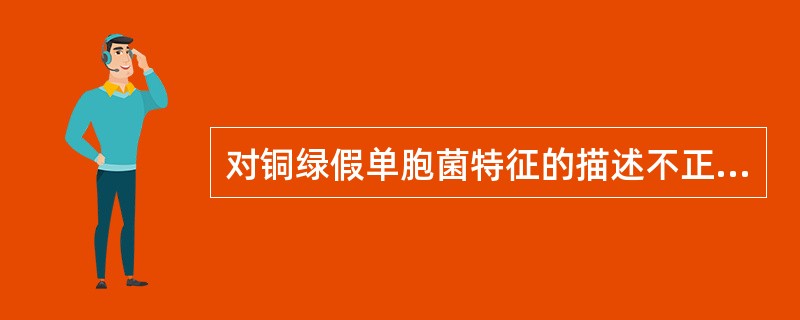 对铜绿假单胞菌特征的描述不正确的是
