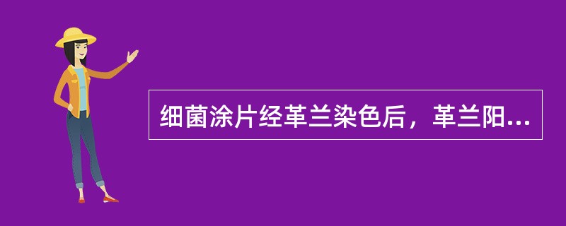 细菌涂片经革兰染色后，革兰阳性菌为