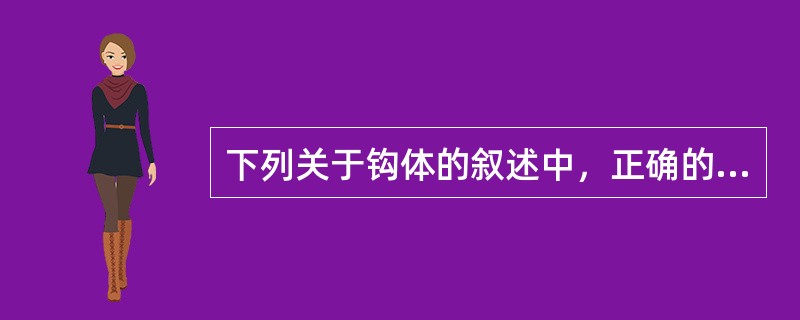 下列关于钩体的叙述中，正确的是()