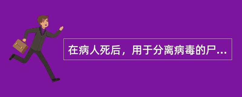 在病人死后，用于分离病毒的尸体标本的采集时限是