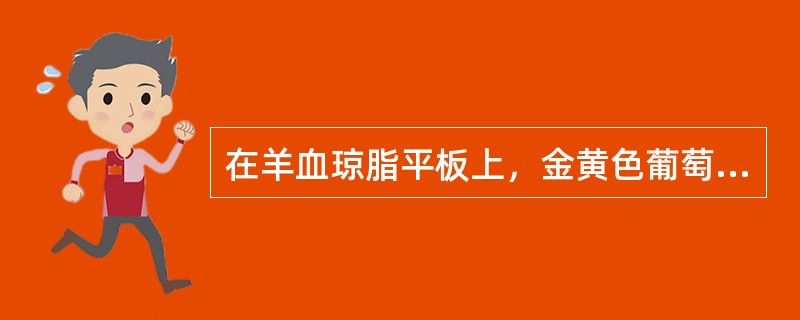 在羊血琼脂平板上，金黄色葡萄球菌可促进流感嗜血杆菌的生长，因为葡萄球菌()