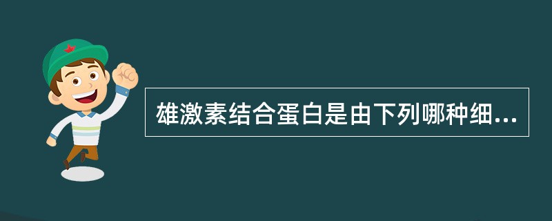 雄激素结合蛋白是由下列哪种细胞分泌的