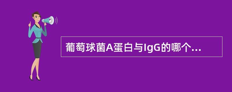 葡萄球菌A蛋白与IgG的哪个部位结合（）