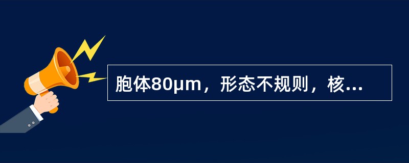 胞体80μm，形态不规则，核多叶扭曲状，染色质粗糙，无核仁，浆内充满紫红色颗粒，边缘有血小板堆集，该特征符合（）