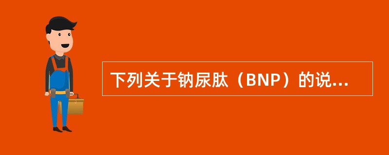 下列关于钠尿肽（BNP）的说法哪项不正确（）