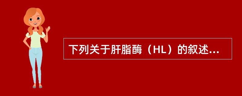 下列关于肝脂酶（HL）的叙述，哪项是错误的（）